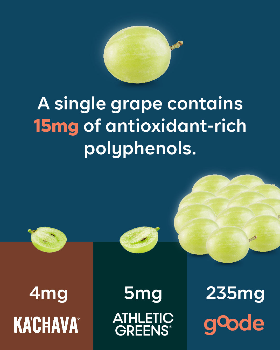 Comparison page on polyphenols in Goode health versus Ka'chava and AG1