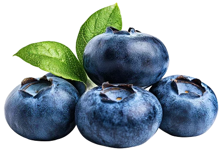 Polyphenols 101:  Why Polyphenols Matter