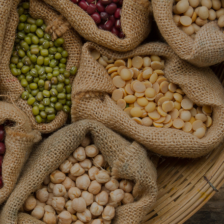 Burlap sacks filled with various types of dried beans and peas.