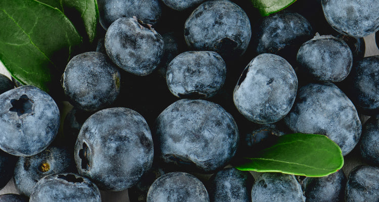 Immune Support