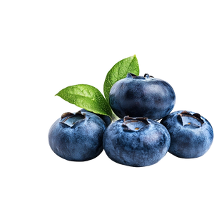 Bilberry