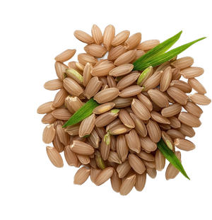 Brown Rice
