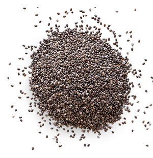 Chia Seeds