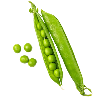 Green Pea