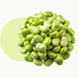 Fava Bean