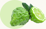 Bergamot