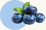 Bilberry