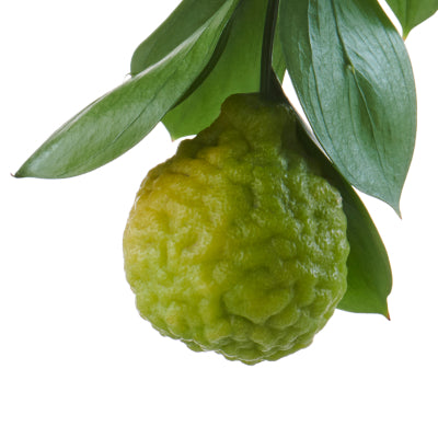 Bergamot, ingredient in Goode health